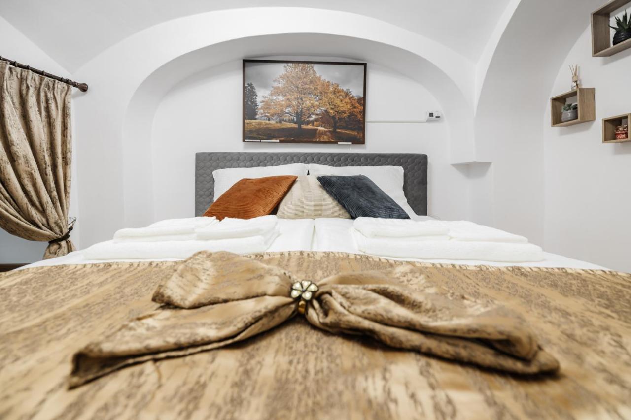 Downtown Cio Apartment Sibiu Exterior photo