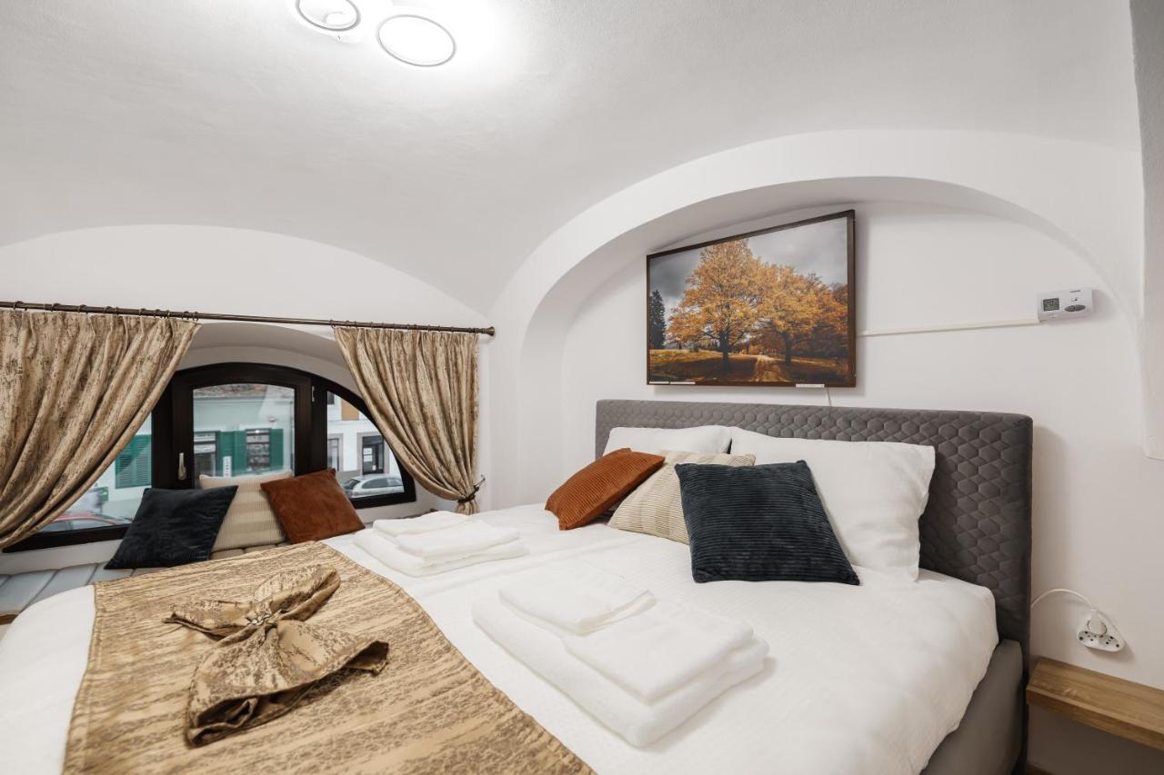 Downtown Cio Apartment Sibiu Exterior photo